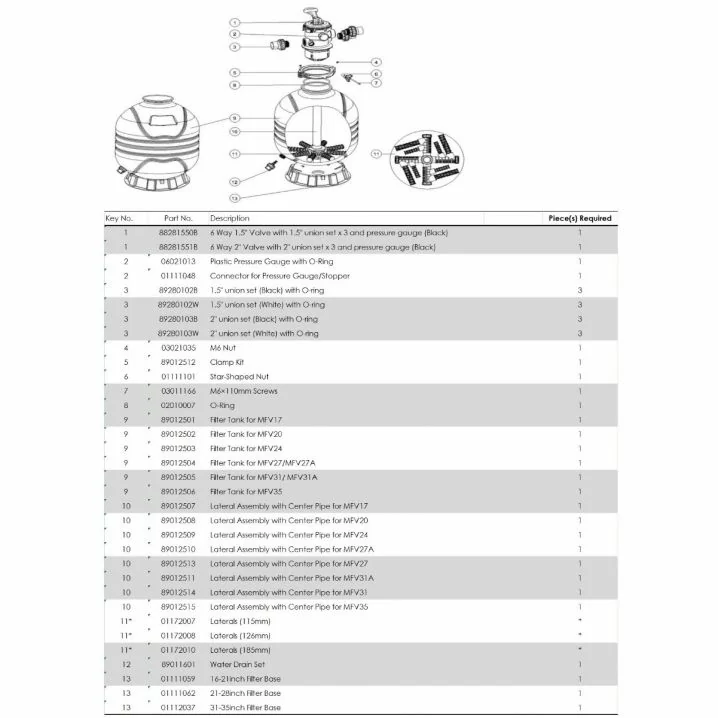 Kolektor z rurą do filtrów Emaux MFV31 89012514