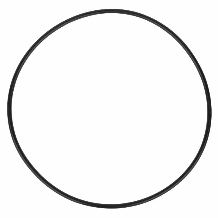 Pierścień uszczelniający obudowy do pompy Aquaviva OS\LP